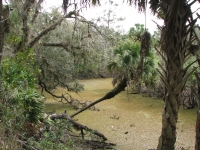 Florida Trail Water Source?